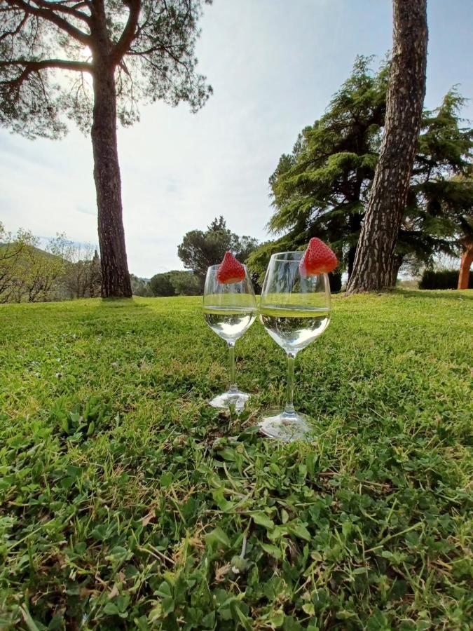 Villa Poggio Fagianino Sant'Albino