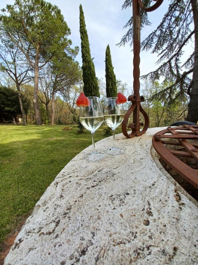 Poggio Fagianino Villa Sant'Albino