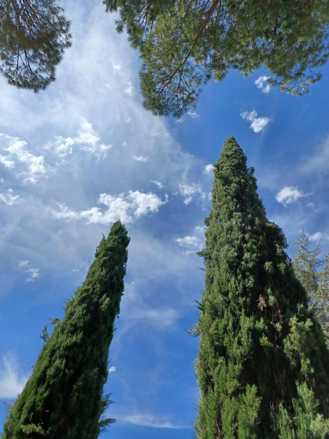 Poggio Fagianino *